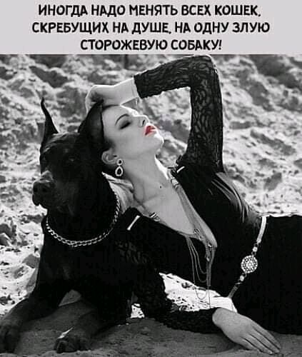 ИНОГДА НМО НЕНЯТЬ ВСЕХ КОШЕК СКРЕБУЩИХ НА дУШЕ НА ОДНУ ЗЛУЮ СТ ОРОЖЕВУЮ СОБАКУ