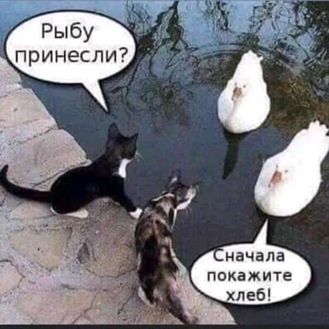 ли ПОКЗЖИТе хлеб