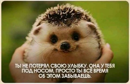 ПММ СВОЮ УАЫБКУ У ТЕБЯ под носом ПРОСТО ТЫ ВРЕМЯ ОБ эпом ЗАБЫВАЩ