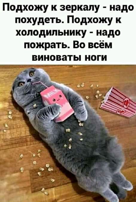 Подхожу к зеркалу надо похудеть Подхожу к холодильнику надо пожрать Во всём виноваты ноги