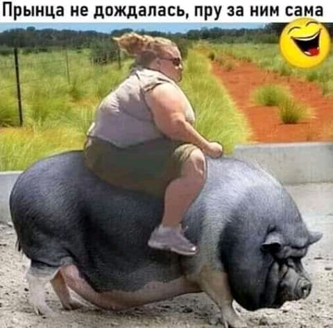 Прынца не дождалась пру за ним сама
