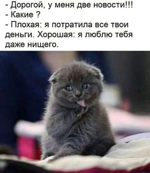 Дорогой у меня две новости Какие Плохая я потратила все твои деньги Хорошая я люблю тебя даже нищего