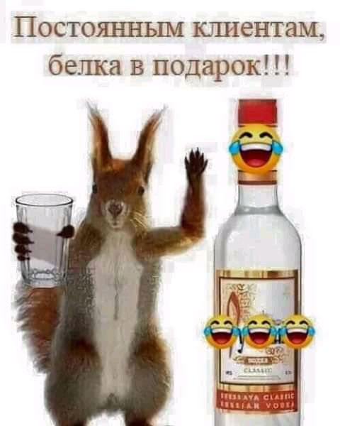 Постоянным клиентам белка в подарок цщ пп и тиц и
