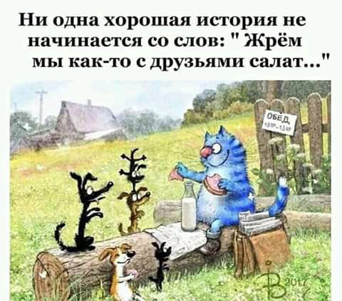 Ни одна хорошая история не начинается со слов Жрём мы как то с друзьями салат