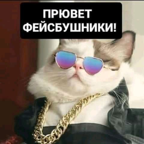 _прюввт ФЕИСБУШНИКИ