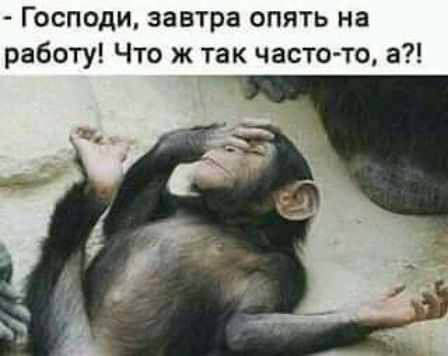 Господи завтра опять на работу Что ж так частото а