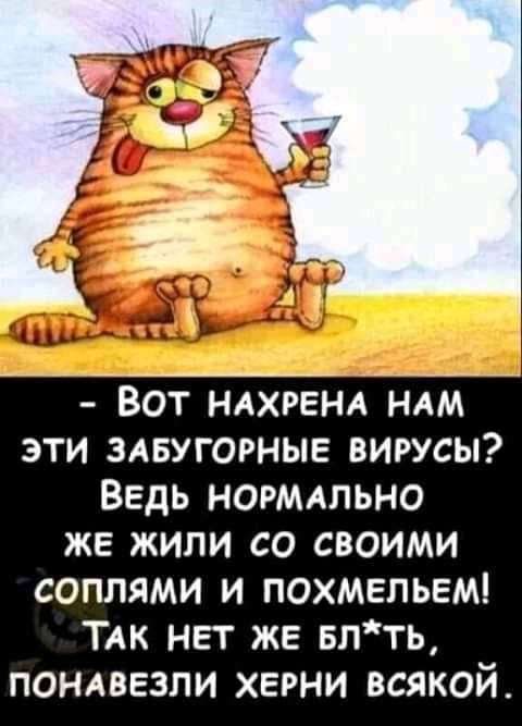 Вот НАХРЕНА НАМ эти здвугорные вигусы Ведь НОРМАЛЬНО же жили со своими соплями и похмельем ТАК нет же влть пондвьзли херни всякой
