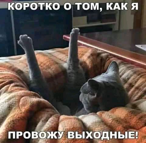 Пкдёіоткобтом КАК я у 7 _ у моё выхёдныё