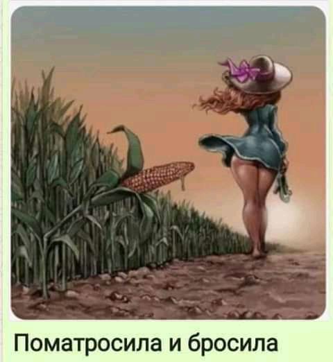 Поматросила и бросила