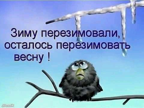 _ м 5 Зиму перезиэловалиі осталось перезиіиовадь весну