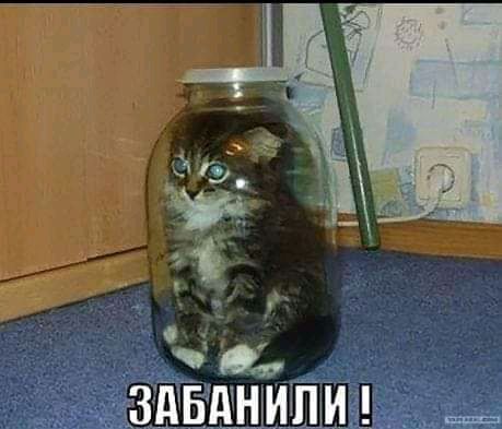 г ЗдБдНИПМ