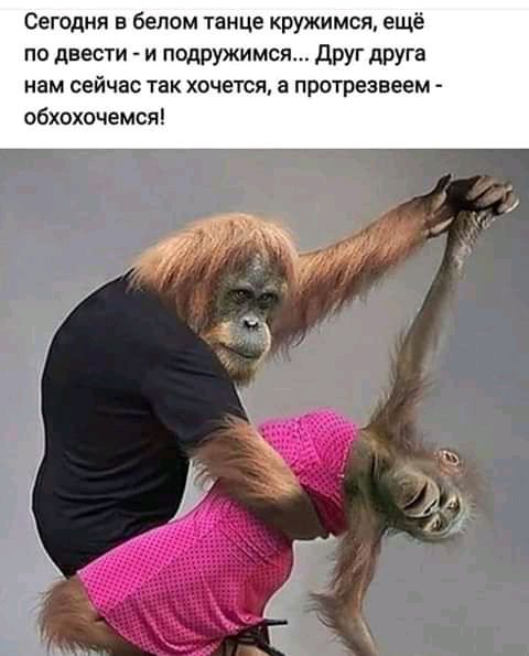Сегодня в белом танце кружимся ещё по двести и подружимся друг друга нам сейчас так хочется протрезвеем обхохочемся
