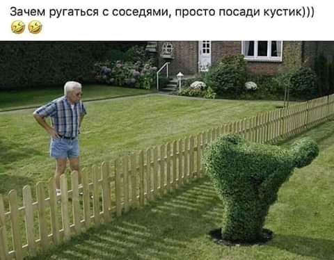Зачем ругаться соседями просто посади кустик