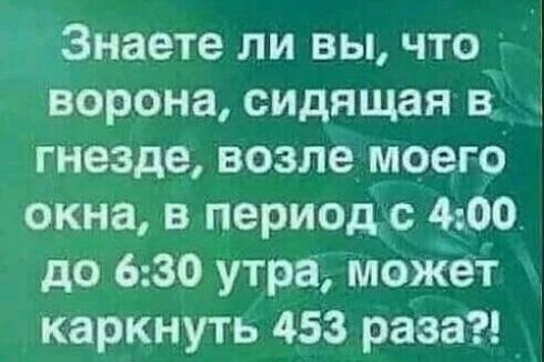 Знаете ли вы что ворона сидящая в гнезде возле моего окна в период с А 00 до 630 утра может каркнуть 453 раза