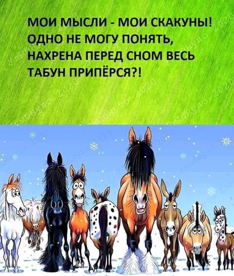 а РИИ ЙЧОИ МЫСЛИ МОИ СКАКУНЫ ОДНО НЕ МОГУ ПОНЯТЬ НАХРЕНА ПЕРЕД сном ввсь ТАБУН припёрсяи