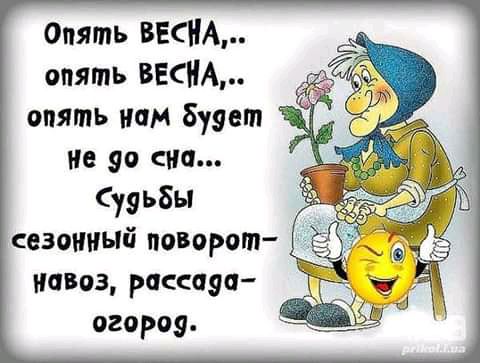 Опять ВЕСНА опять ВЕСНА опять нам буэет не 90 на у9ь8ы сезонный поворот _ навоз рассаэа огород