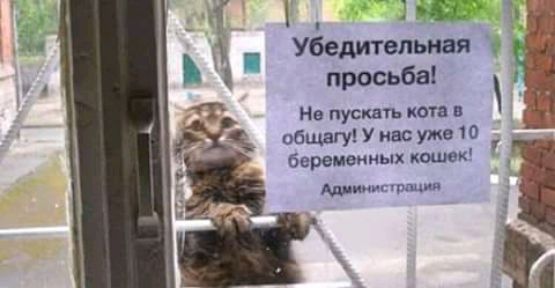 Удедитвльісая о просьба Непускшьитв _ жабцшуШивсужвіО беременных канюк шмшршп