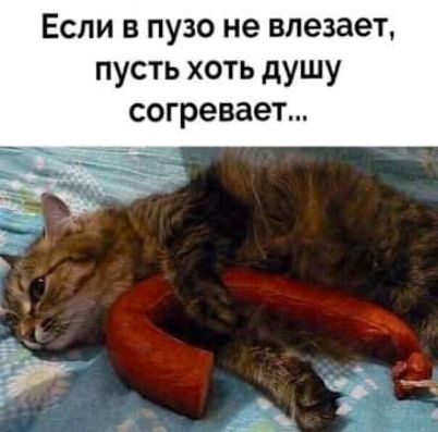 Если в пузо не влезает пусть хоть душу согревает