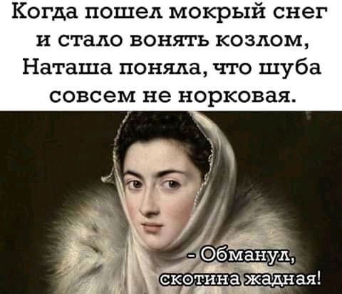 Когда пошел мокрый снег и стало вонять козлом Наташа поняла что шуба совсем не норковая