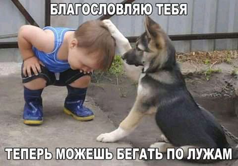 _ зщ ввгдтіпттшм