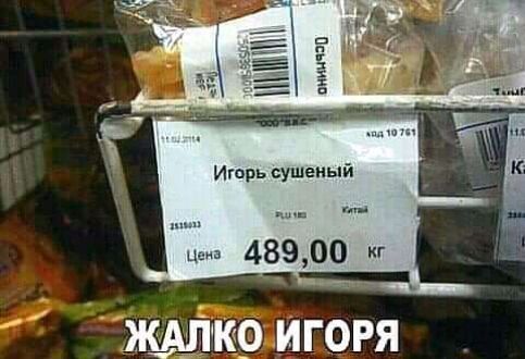 Игорь сушеный Ё 48900 кг шир игогя