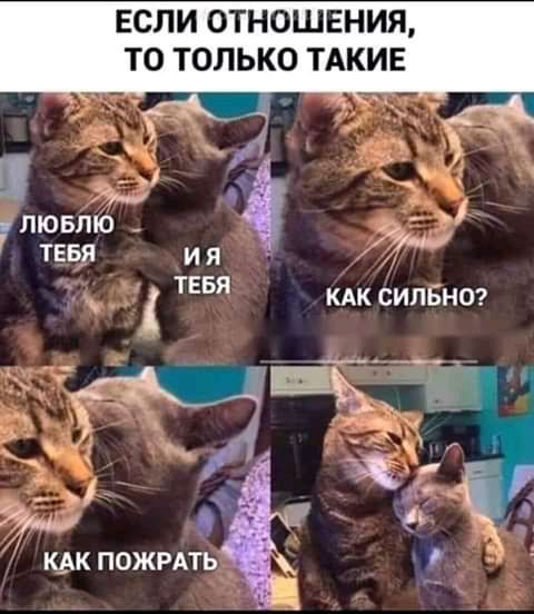 ЕСЛИ ОТНОШЕНИЯ ТО ТОЛЬКО ТАКИЕ _ _ и К_АК ПОЖРАТЬ
