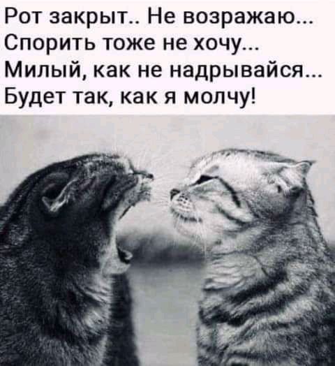 Рот закрыт Не возражаю Спорить тоже не хочу Милый как не надрывайся Будет так как я молчу