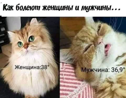 Как болеют женщины и мужчины