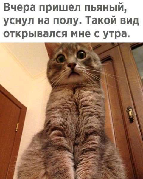 Вчера пришел пьяный уснул на полу Такой вид открывался мне с утра