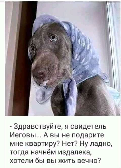 Здравствуйте я свидетель Иеговы А вы не подарите мне квартиру Нет Ну ладно тогда начнём издалека хотели бы вы жить вечно