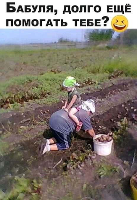 БАБУЛЯ долго ЕЩЁ помогАть ТЕБЕ