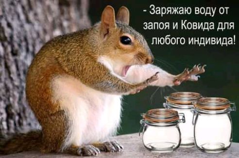 Заряжаю воду от ЗЗПОЯ И КОВИДЗ ДПП