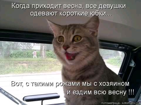 Когда приходит весна все девушки одевают КОРОГКИЕ юбкИ и ездим всю весну