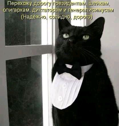 ШФМЧП ЗМ дороіЁЮ