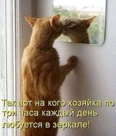 любмтся 5 336116