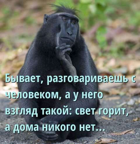 Р веком а у него _ яд такой свет __шуЦЁ