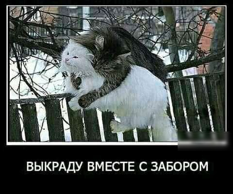 ВЫКРАДУ ВМЕСТЕ С ЗАБОРОМ