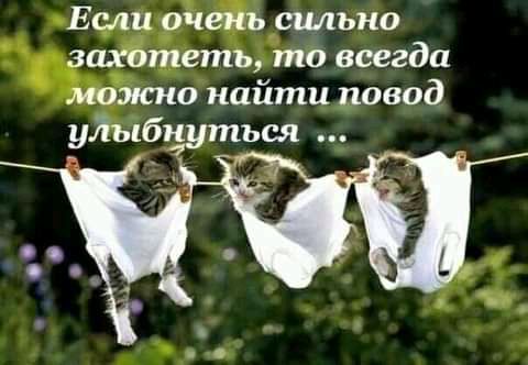 Если очень сильно захотеть то всегда можлю найти повод удыбъдуться _