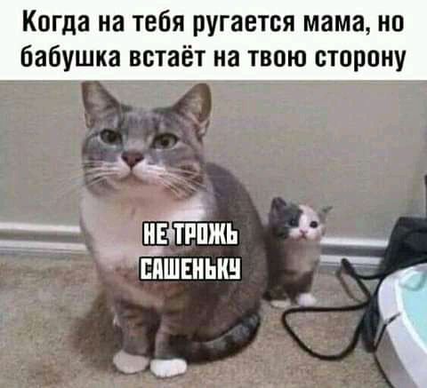 Когда на тебя ругается мама ио бабушка встаёт на твою сторону _ Эш Ё ТРПЖЬ _ ЕПШЕНЫШ _