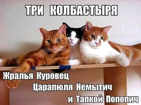 ППШ НВПБАВТЫРП Жрапьи пуповец тз Цапапюпп _н_емытич