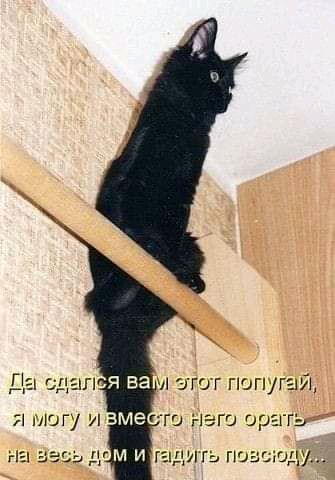 Д ява И ГОГ Г0ГГ Я ЮГУ и ме ш неги 00 гт г213эдми гпигьгшзсшду