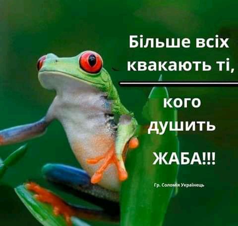 Більше всіх квакають ті 0Г0 дупідить