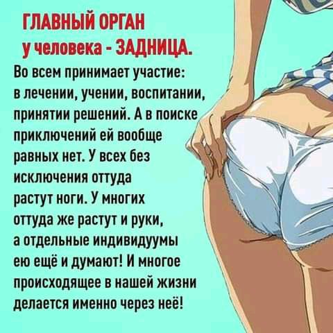 Во всем принимает участие в лечении учении воспитании 94 принятии решений А в поиске приключений ей вообще равных нет У всех без исключения оттуда растут ноги У многих оттуда же растут и руки а отдельные индивидуумы ею ещё и думают И многое происходящее в нашей жизни делается именно через неё д