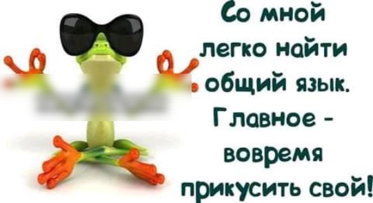 Со мной легко найти Ж общий язык Главное вовремя прикусить свой