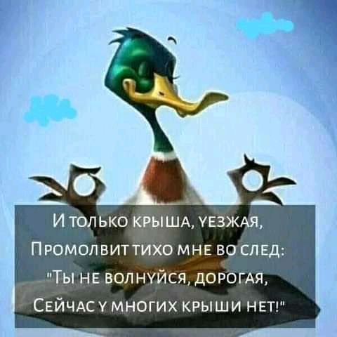 И только КРЫША увзждя Промопвиттихо МНЕ во слвд Ты НЕ волнуйся дОРОГАЯ СЕЙЧАСУ многих крыши НЕТ