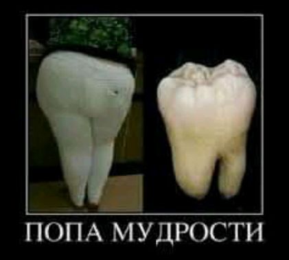 ПОПА МУДРОСТИ
