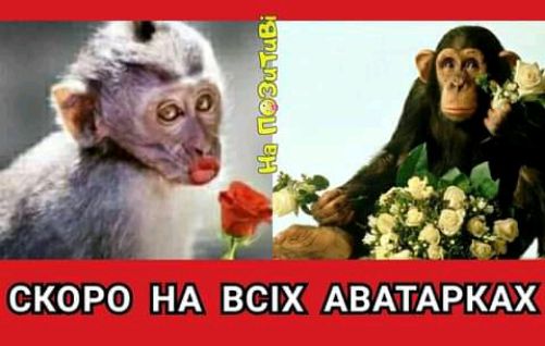 СКОРО НА ВСХ АВАТАРКАХ