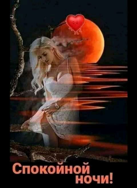 д _д иной Споко ночи