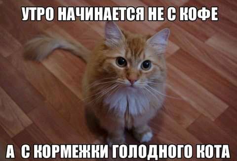 ПРП НАЧИНАЕТБП Е НВФ 1 д ВРМЕЖНИ ПШПДНВШ НМП