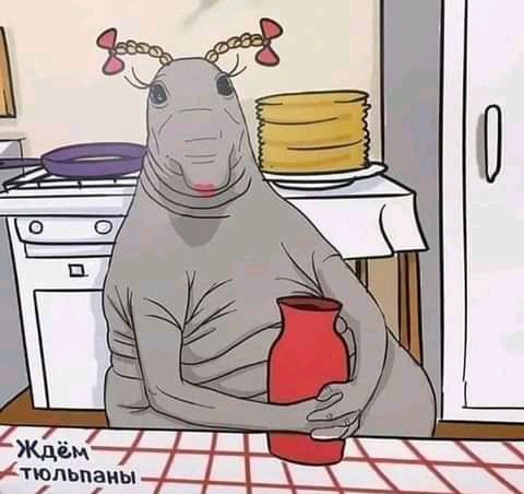 Ждём тюпьиаиы